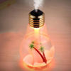 Picture of Light Bulb Humidifier