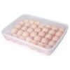 Picture of Plastic Egg Box with cover (34 eggs)