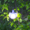Picture of Adjustable Hanging 45 Leds Solar Light HN-W014 (White)