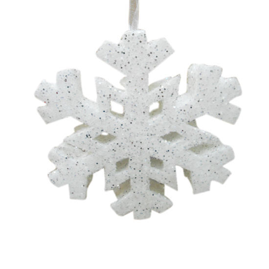 Picture of Snow Flake