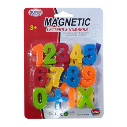 Picture of Magnetic Numbers