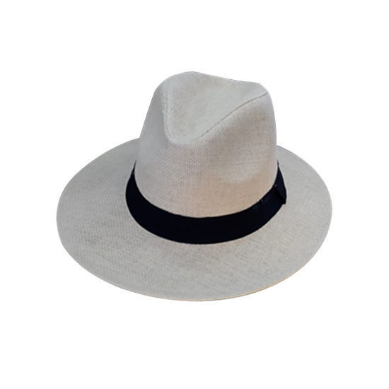 Picture of Panama Hat (Beige)