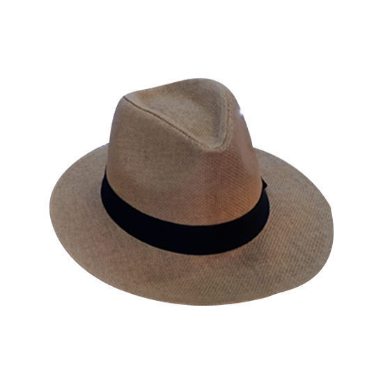 Picture of Panama Hat (Brown)