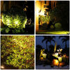 Picture of 4 Pcs Solar Spike Garden Light TS-07-4 (Warm White)