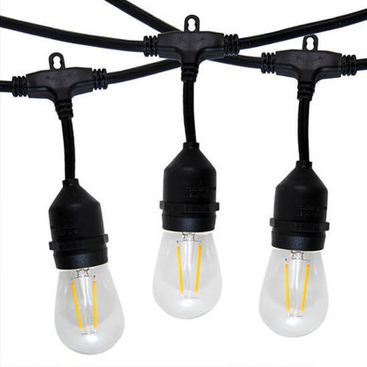 Picture of Hanging Outdoor Festoon Light Bulbs (10 Mts/10 Led Filament Bulbs)