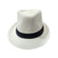 Picture of Panama Hat