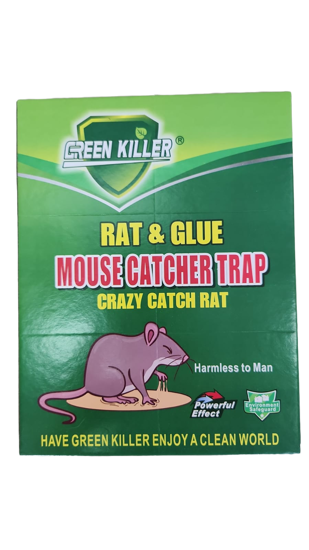 Picture of Mouse Glue Trap