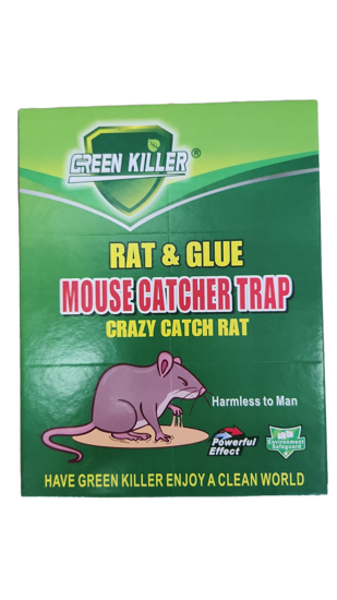 Picture of Mouse/Rat Glue Trap
