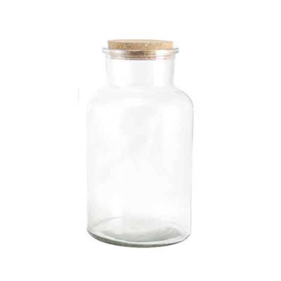 Picture of Bottle with Cork Lid - 600ml (Height : 17cm)