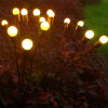 Picture of Solar Firefly LED Lights  - 6 Leds Bulbs (Warm White)