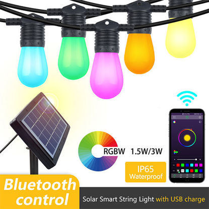 Picture of Solar String Lights RGBW 8.84 Mts-10 Bulbs-S14-2910-SS-2R (Multicolor)