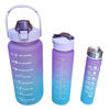 Picture of Water Bottle (Set Of 3pcs)