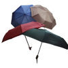 Picture of Umbrella Automatic