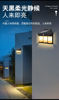 Picture of Tungsten Solar Filament Wall Light - 3 Bulbs HN-W026-3 (Warm White)