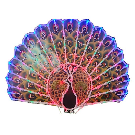Picture of Peacock Light - 50x40cm