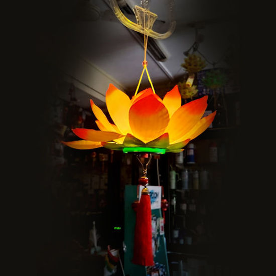 Picture of Hanging Lotus Light