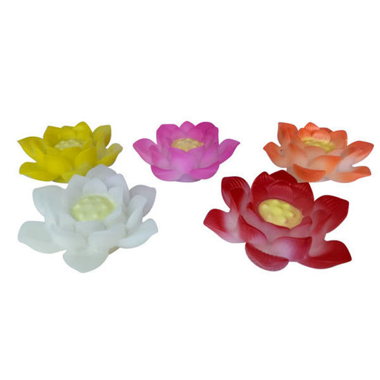 Picture of Lotus Led light