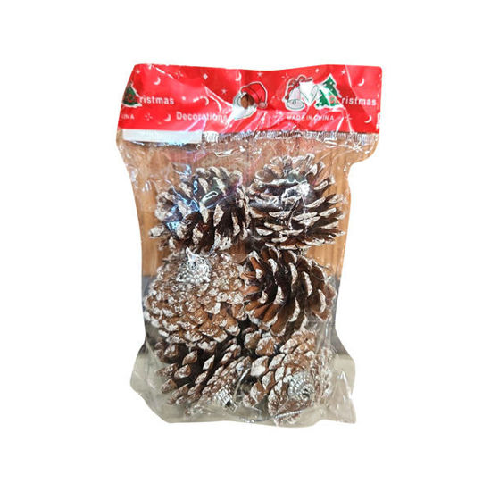 Picture of Xmas Pine - (6pcs)