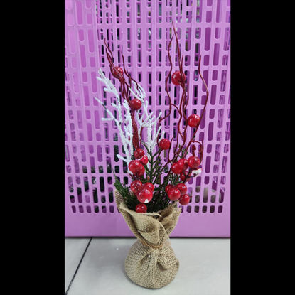 Picture of Xmas Tree with Red Berries