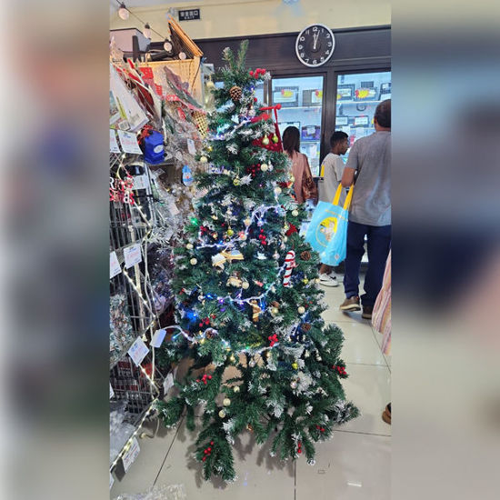 Picture of Xmas Tree with Red Berries -180cm/6ft