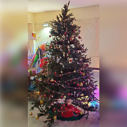 Picture of Xmas Tree Filao - 210cm/7ft (Without Deco & Light)