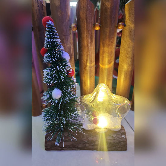 Picture of Xmas Tree and Star Light