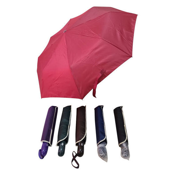 Picture of Full-Automatic Plain Umbrella