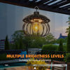 Picture of Pumpkin Style Solar Hanging Light W/R.Control