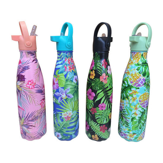 Picture of Vacuum Flask - 500ml (tropical / forest)