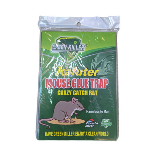 Picture of Rat Glue (12x17cm)