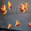 Picture of Divali Hanging Light 2mts W/Connector