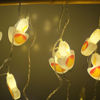 Picture of Divali Hanging Light 2mts W/Connector