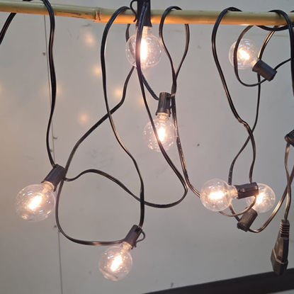 Picture of Festoon Bulb W/End Connector (10 Bulbs - 5Mts)