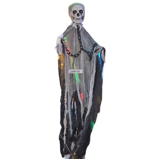 Picture of Halloween ghost in rags