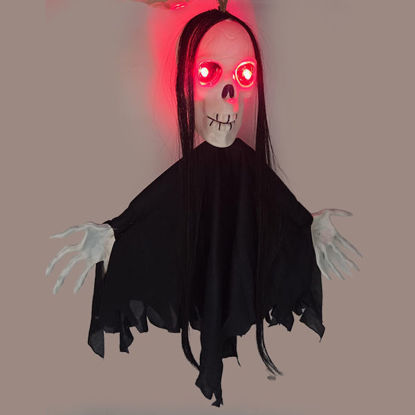 Picture of Halloween skull with hair fringe