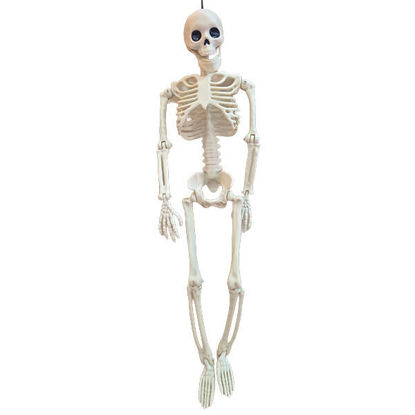 Picture of Halloween skeleton