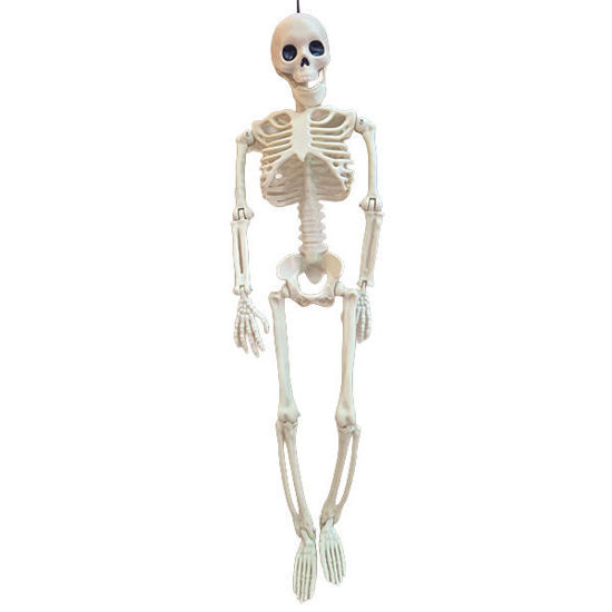 Picture of Halloween skeleton